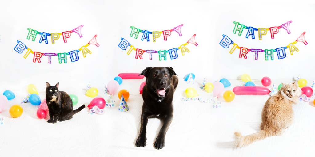 BdayPanoWeb