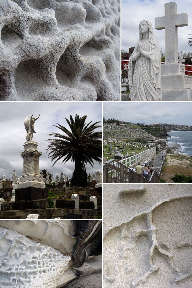 DrewsCollage