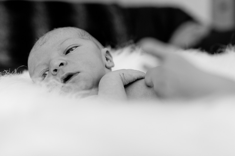 Welcome Baby Leila! Newborn Photographs